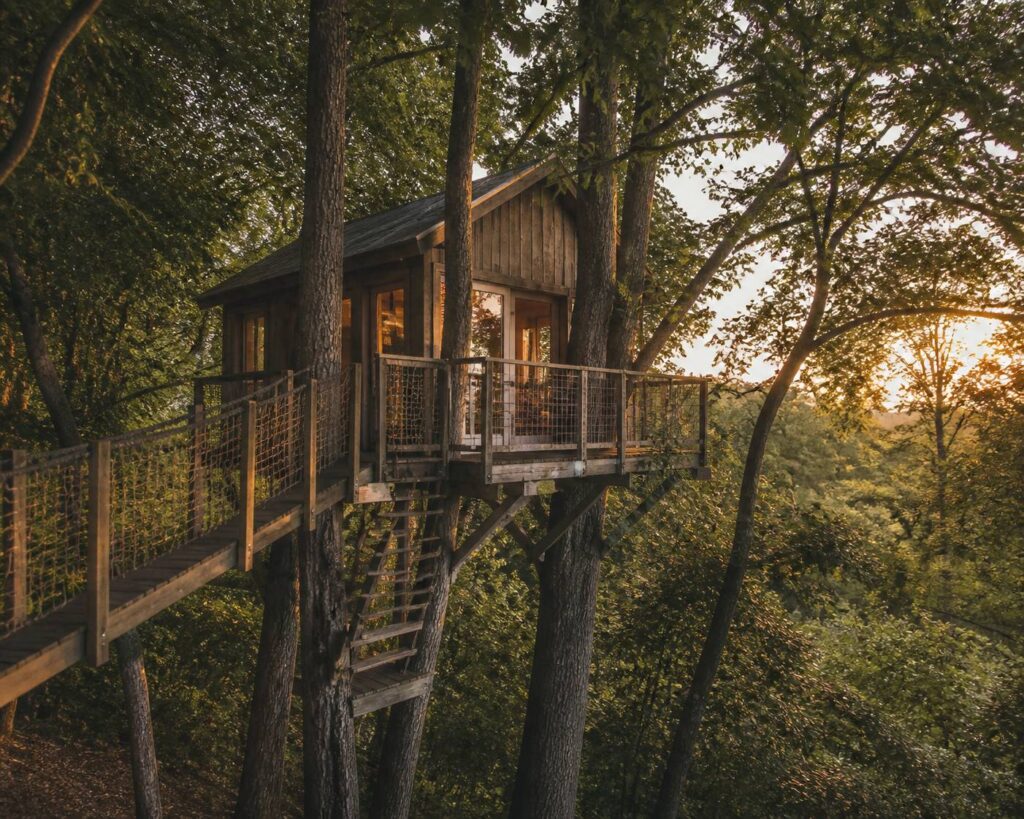Cabane en bois perchée dans les arbres avec terrasse
